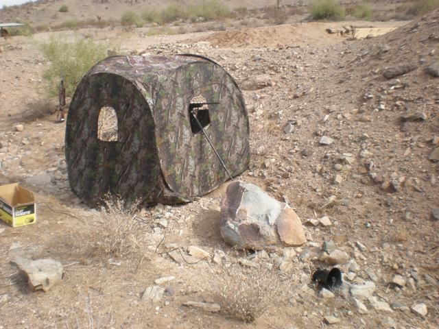 coyote blind